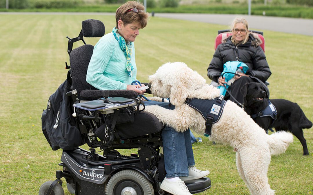 Stichting Hulphond Nederland