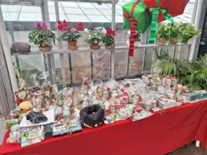 Lionsclub Aalsmeer Ophelia - Kerstmarkt - 002